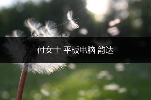 付女士 平板电脑 韵达