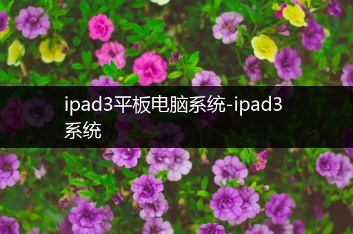 ipad3平板电脑系统-ipad3 系统