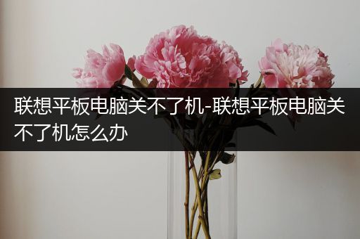 联想平板电脑关不了机-联想平板电脑关不了机怎么办