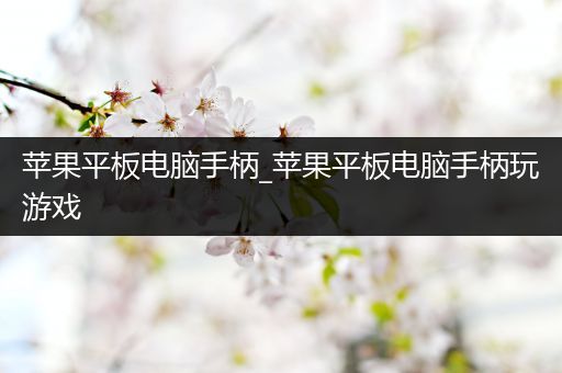 苹果平板电脑手柄_苹果平板电脑手柄玩游戏