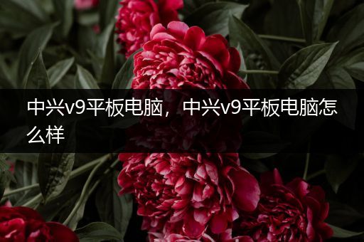 中兴v9平板电脑，中兴v9平板电脑怎么样