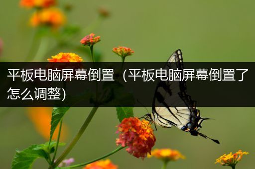 平板电脑屏幕倒置（平板电脑屏幕倒置了怎么调整）