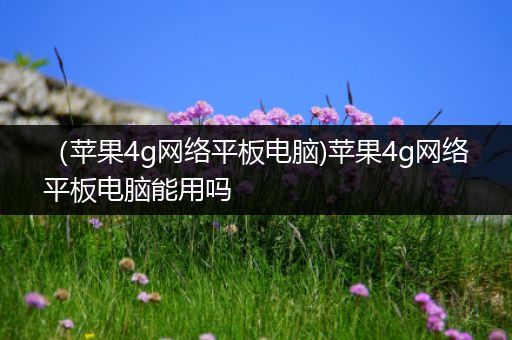 （苹果4g网络平板电脑)苹果4g网络平板电脑能用吗