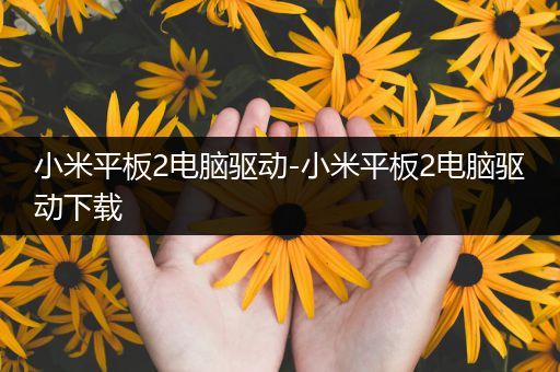 小米平板2电脑驱动-小米平板2电脑驱动下载