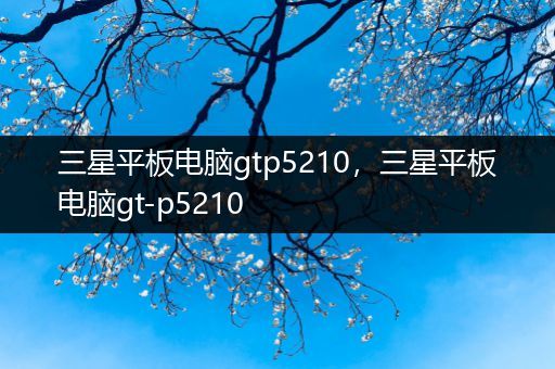 三星平板电脑gtp5210，三星平板电脑gt-p5210