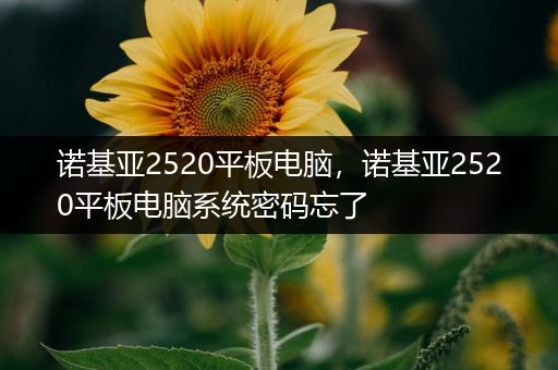 诺基亚2520平板电脑，诺基亚2520平板电脑系统密码忘了