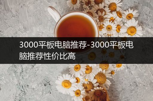 3000平板电脑推荐-3000平板电脑推荐性价比高