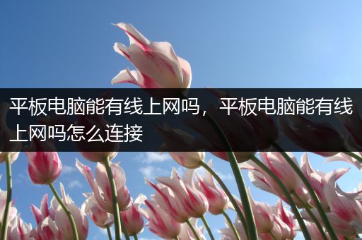 平板电脑能有线上网吗，平板电脑能有线上网吗怎么连接