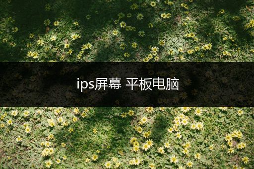 ips屏幕 平板电脑