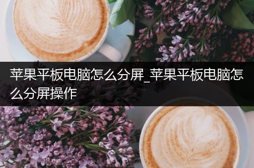 苹果平板电脑怎么分屏_苹果平板电脑怎么分屏操作