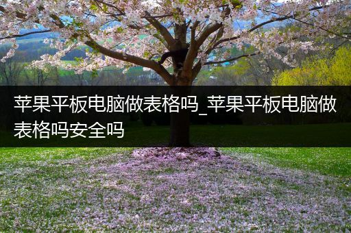 苹果平板电脑做表格吗_苹果平板电脑做表格吗安全吗