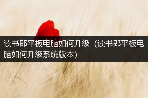 读书郎平板电脑如何升级（读书郎平板电脑如何升级系统版本）