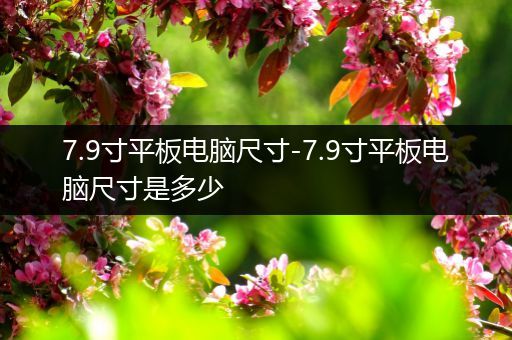 7.9寸平板电脑尺寸-7.9寸平板电脑尺寸是多少