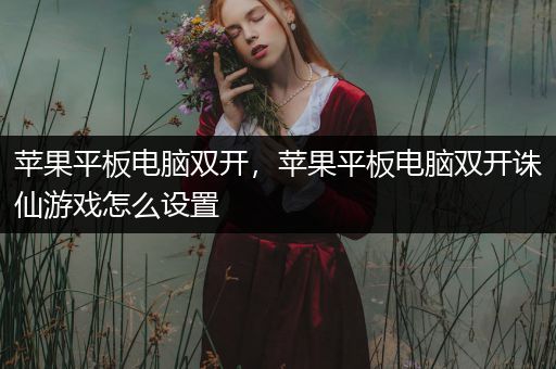 苹果平板电脑双开，苹果平板电脑双开诛仙游戏怎么设置