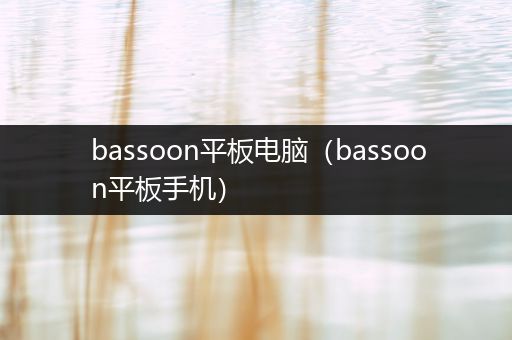 bassoon平板电脑（bassoon平板手机）