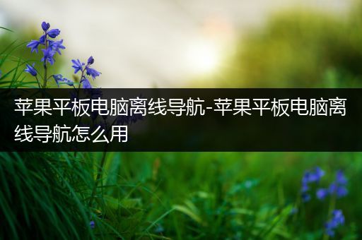 苹果平板电脑离线导航-苹果平板电脑离线导航怎么用