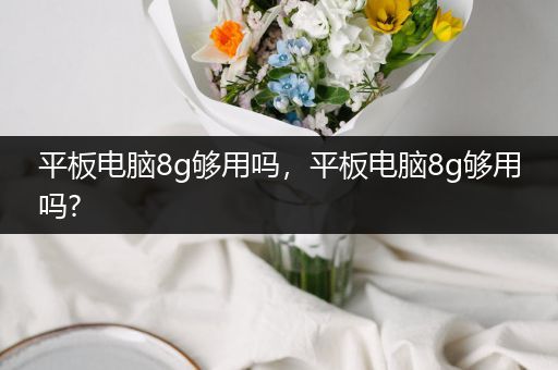 平板电脑8g够用吗，平板电脑8g够用吗?