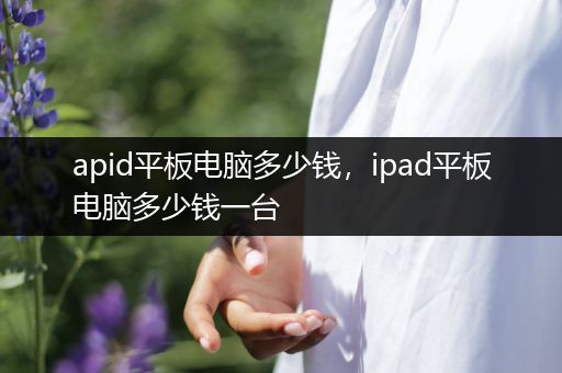 apid平板电脑多少钱，ipad平板电脑多少钱一台