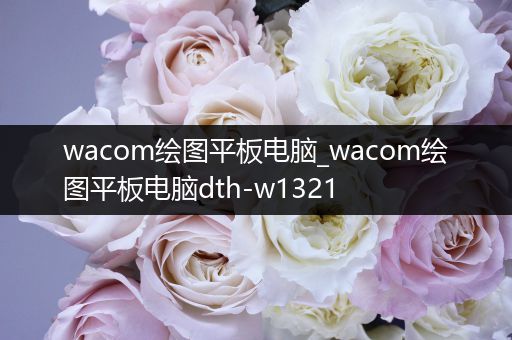 wacom绘图平板电脑_wacom绘图平板电脑dth-w1321