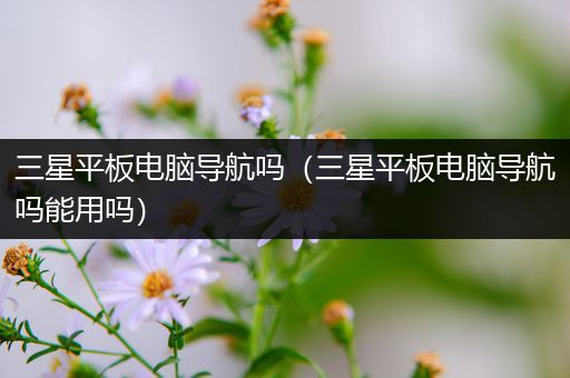三星平板电脑导航吗（三星平板电脑导航吗能用吗）