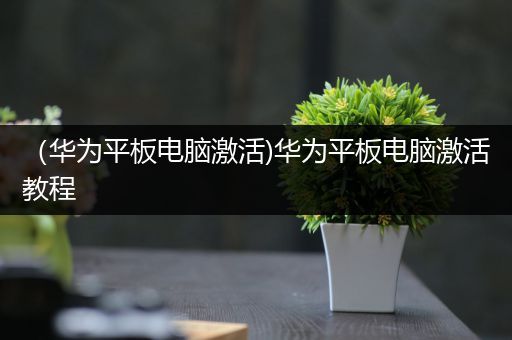 （华为平板电脑激活)华为平板电脑激活教程