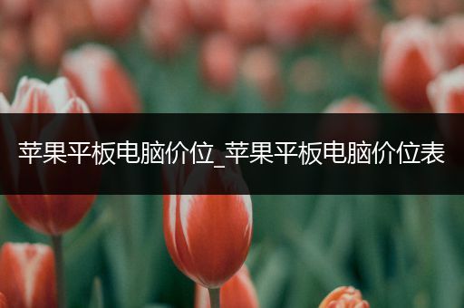 苹果平板电脑价位_苹果平板电脑价位表