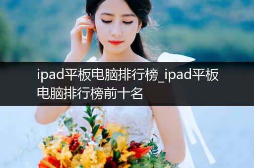 ipad平板电脑排行榜_ipad平板电脑排行榜前十名