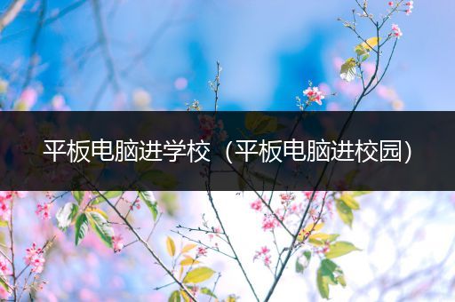平板电脑进学校（平板电脑进校园）
