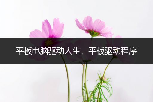 平板电脑驱动人生，平板驱动程序