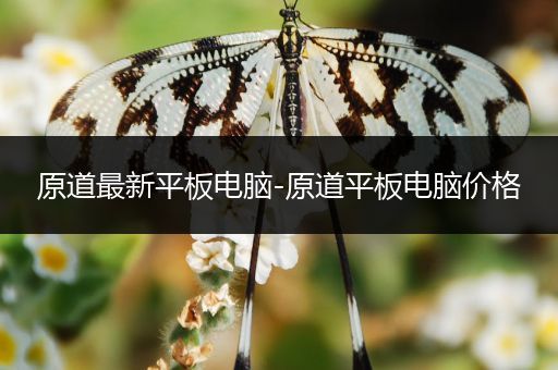 原道最新平板电脑-原道平板电脑价格