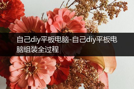 自己diy平板电脑-自己diy平板电脑组装全过程