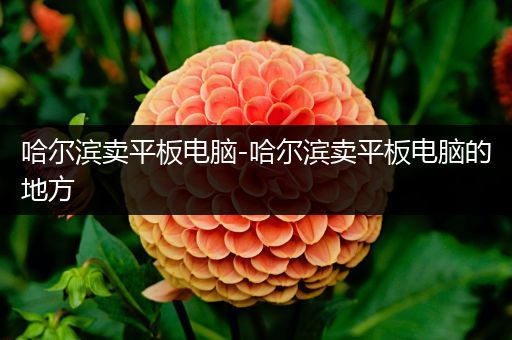 哈尔滨卖平板电脑-哈尔滨卖平板电脑的地方