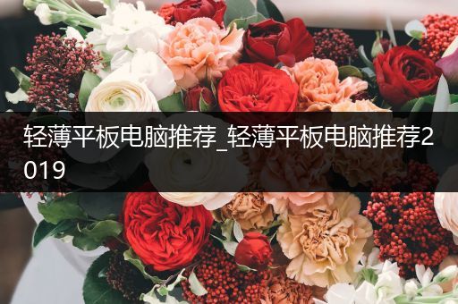 轻薄平板电脑推荐_轻薄平板电脑推荐2019