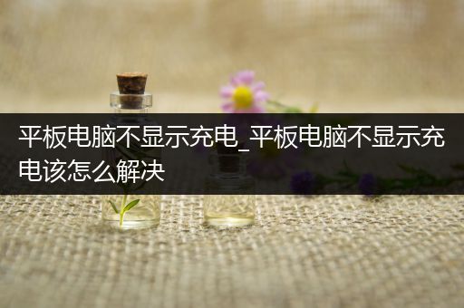 平板电脑不显示充电_平板电脑不显示充电该怎么解决