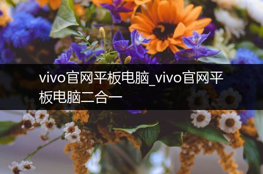 vivo官网平板电脑_vivo官网平板电脑二合一