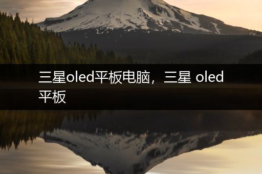 三星oled平板电脑，三星 oled平板