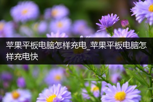 苹果平板电脑怎样充电_苹果平板电脑怎样充电快