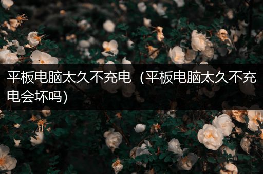 平板电脑太久不充电（平板电脑太久不充电会坏吗）