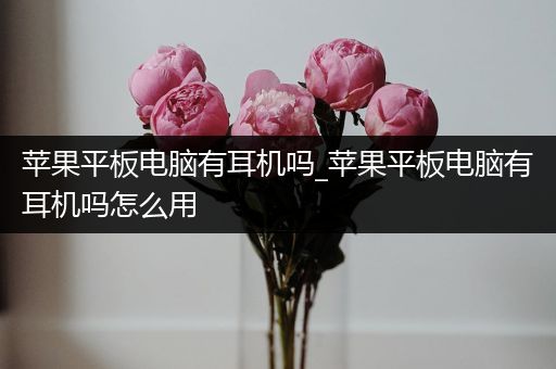 苹果平板电脑有耳机吗_苹果平板电脑有耳机吗怎么用