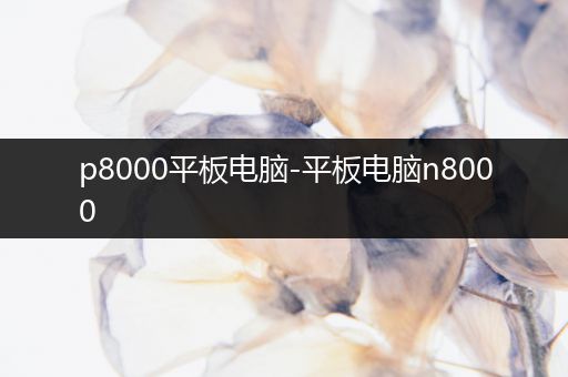 p8000平板电脑-平板电脑n8000