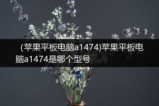 （苹果平板电脑a1474)苹果平板电脑a1474是哪个型号