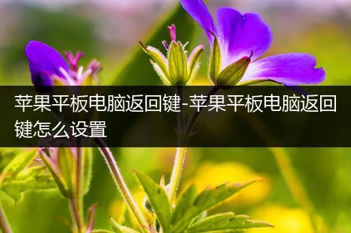 苹果平板电脑返回键-苹果平板电脑返回键怎么设置