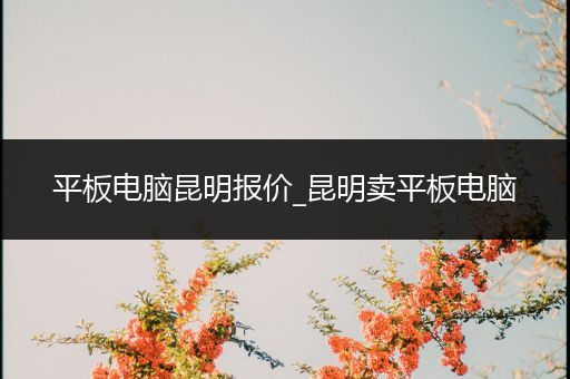 平板电脑昆明报价_昆明卖平板电脑