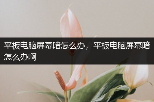 平板电脑屏幕暗怎么办，平板电脑屏幕暗怎么办啊