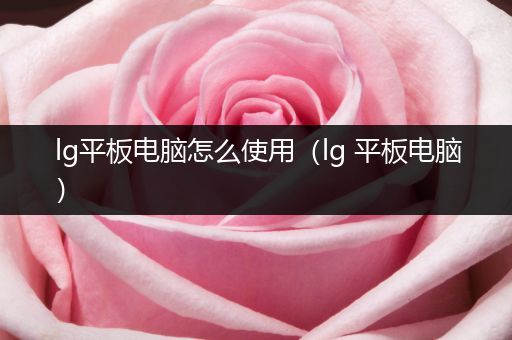 lg平板电脑怎么使用（lg 平板电脑）