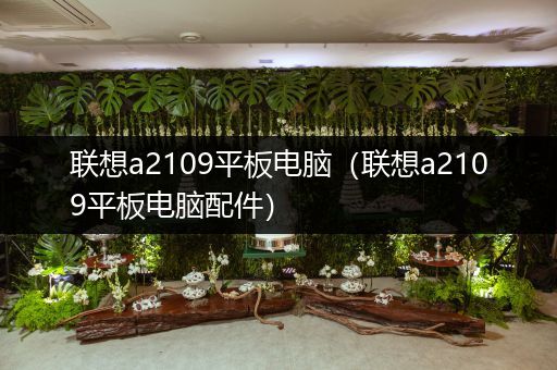 联想a2109平板电脑（联想a2109平板电脑配件）