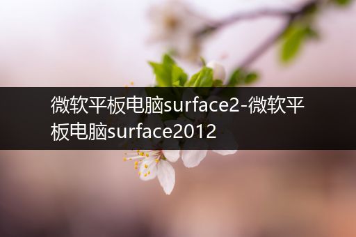 微软平板电脑surface2-微软平板电脑surface2012