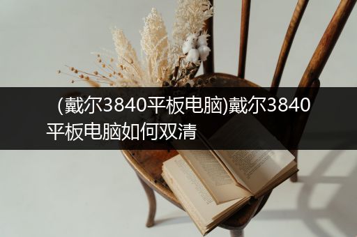 （戴尔3840平板电脑)戴尔3840平板电脑如何双清