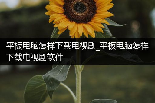 平板电脑怎样下载电视剧_平板电脑怎样下载电视剧软件