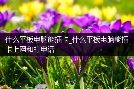 什么平板电脑能插卡_什么平板电脑能插卡上网和打电话